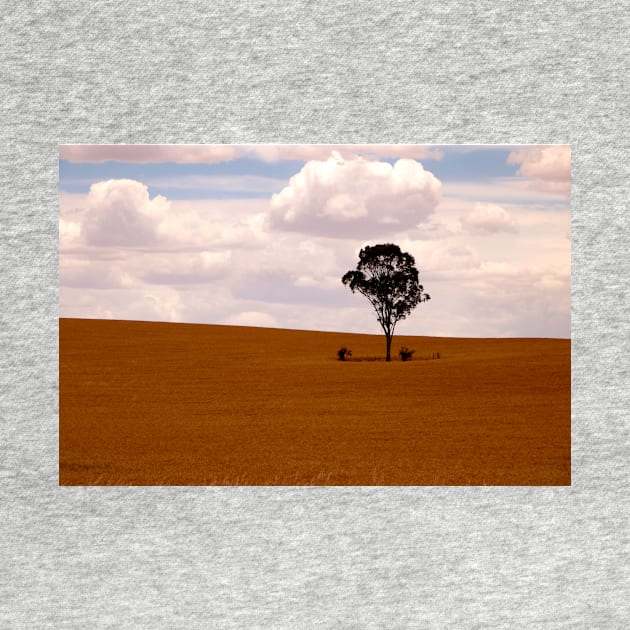 One Tree Alone by jwwallace